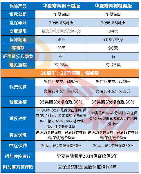 华夏常青树卓越版和常青树特惠版区别